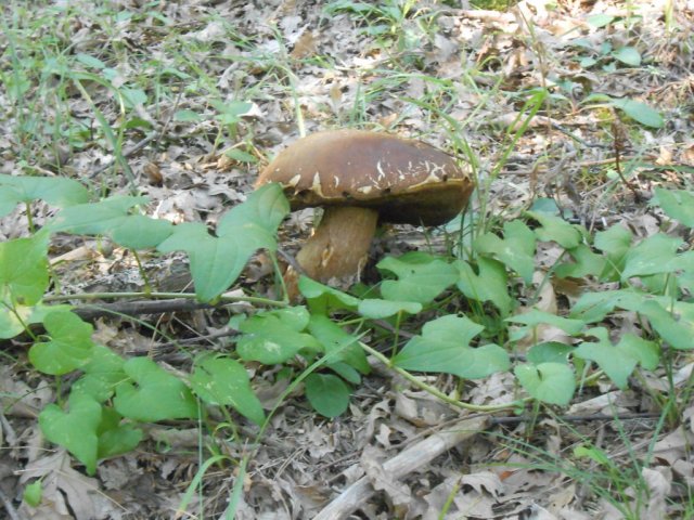 2013_07_26 24 fileminimizer